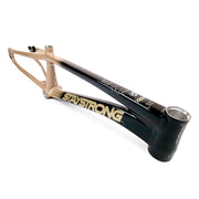 Stay Strong For Life 2024 V5 Pro XXXL Race Frame - Disc Version