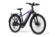 Level 3 Ebike