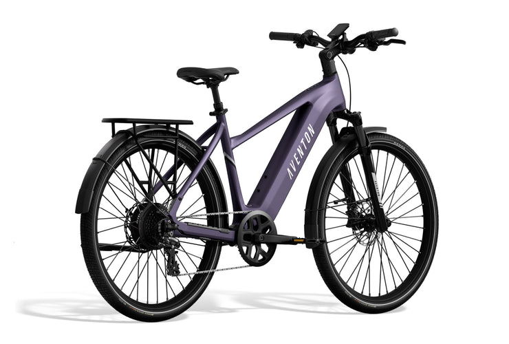 Level 3 Ebike