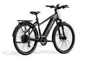 Level 3 Ebike
