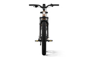 Aventure 3 Step Through Ebike