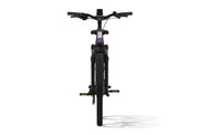 Level 3 Ebike