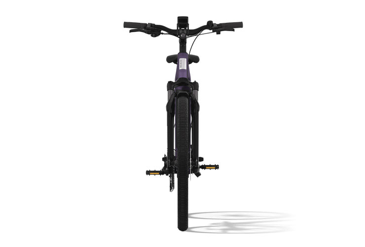 Level 3 Ebike