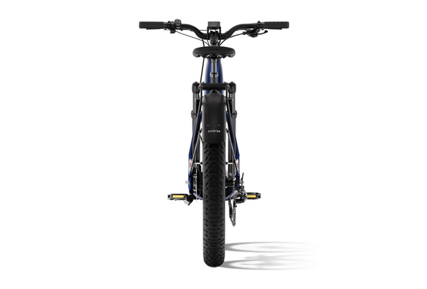 Aventure 3 Step Through Ebike