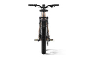 Aventure 3 Step Through Ebike