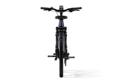 Level 3 Ebike