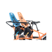 Thule Yepp Maxi Child Seat