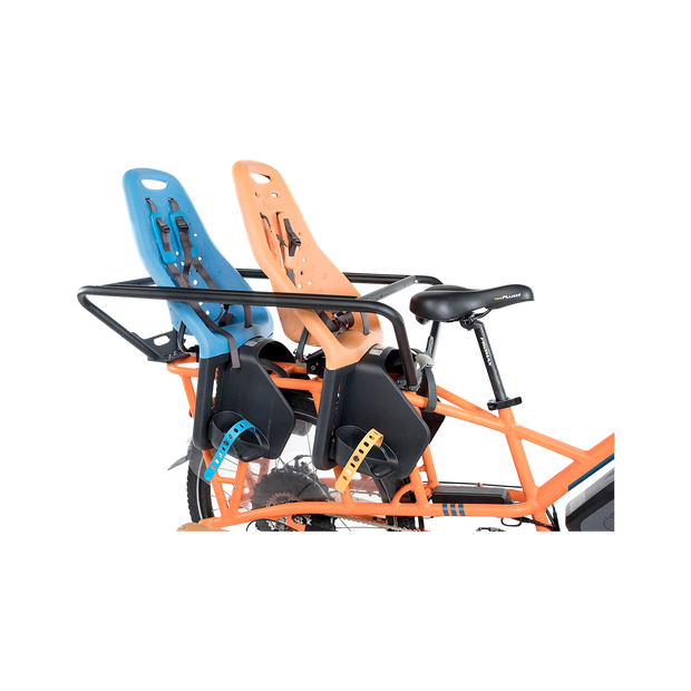 Thule Yepp Maxi Child Seat