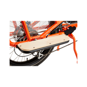 RadWagon 4 Running Boards