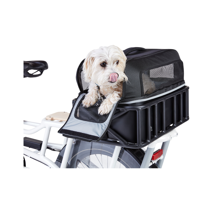 Pet Basket Carrier