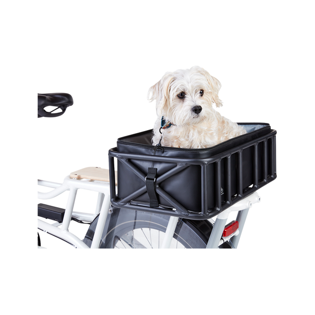 Pet Basket Carrier