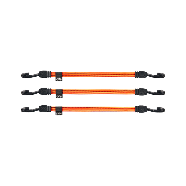 Cargo Straps