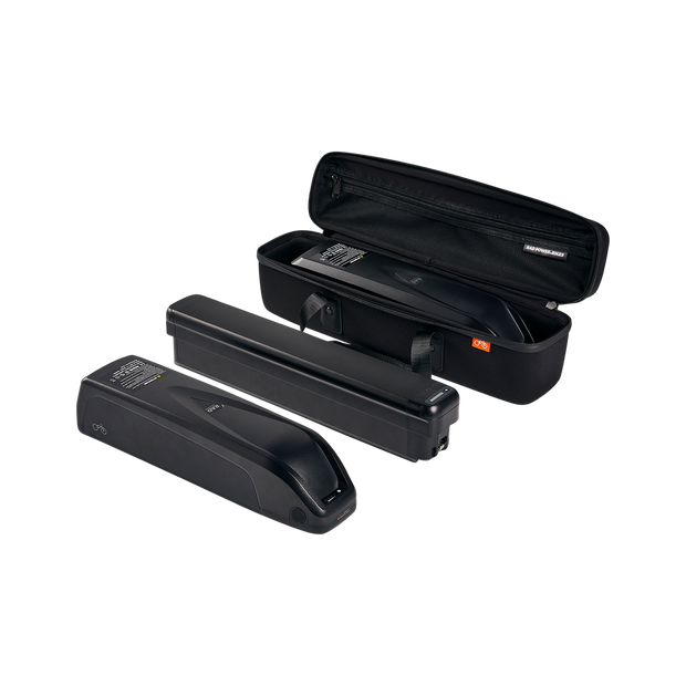 Battery Travel Case