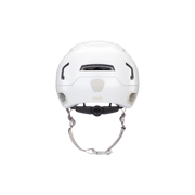 Bern Hudson MIPS Helmet