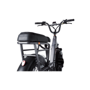 RadRunner 3/RadRunner Max Passenger Package