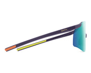 Smith Defy Sunglasses