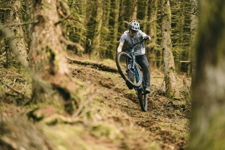 Sonder Falco Collection Images