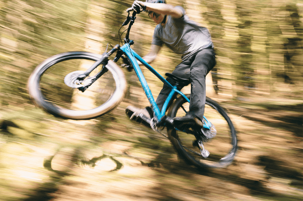 Sonder Falco Collection Images