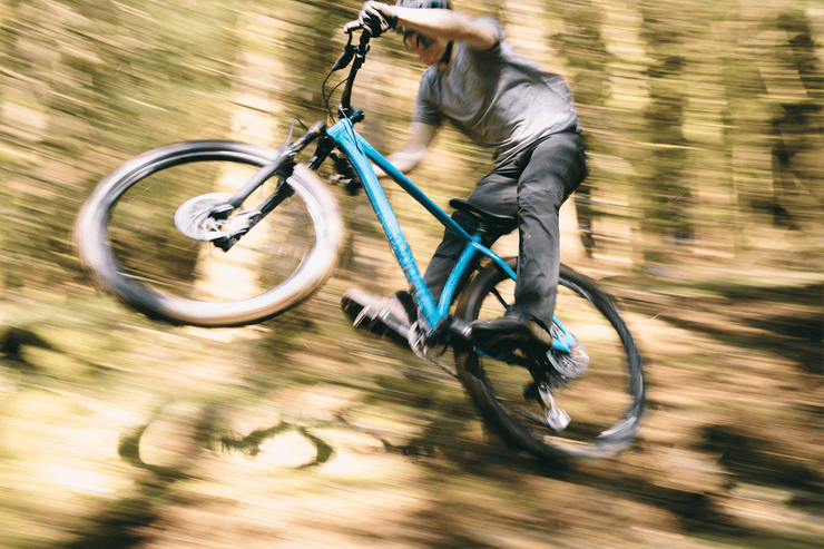 Sonder Falco Collection Images