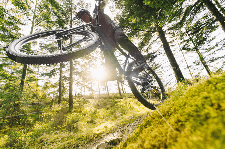 Sonder Falco Collection Images