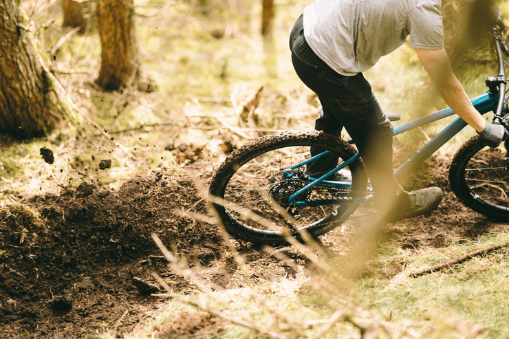 Sonder Falco Collection Images