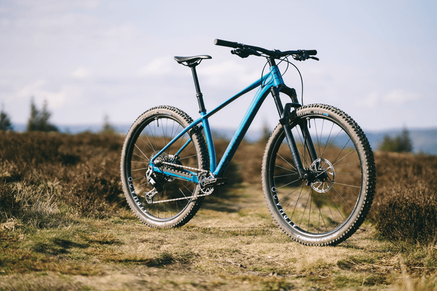 Sonder Falco Collection Images