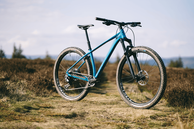 Sonder Falco Collection Images