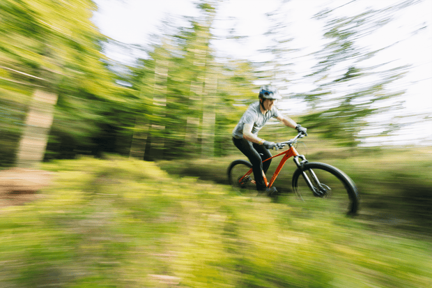 Sonder Falco Collection Images