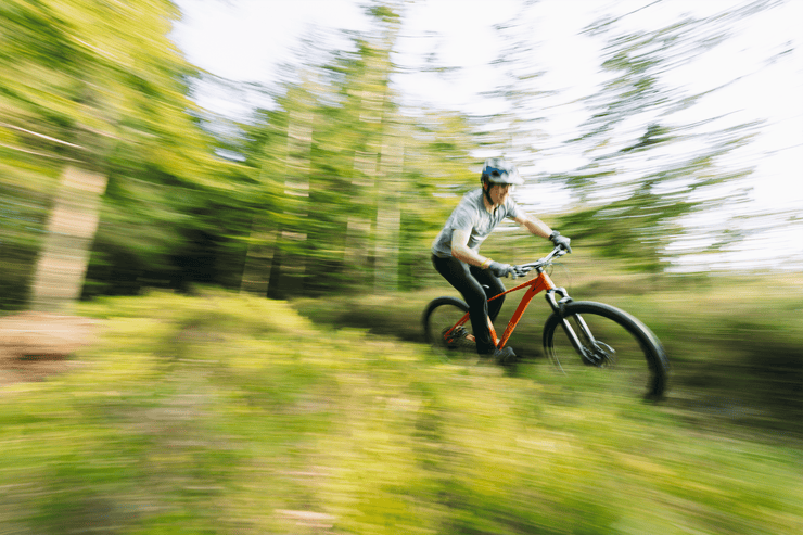 Sonder Falco Collection Images