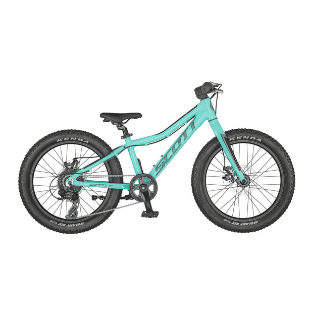 Scott Roxter 20 Bike