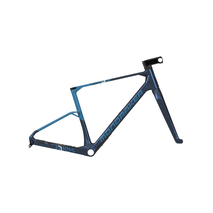 Mondraker Arid Carbon RR SL Frameset
