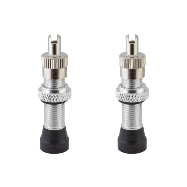 Tubeless Alloy Schrader Valves
