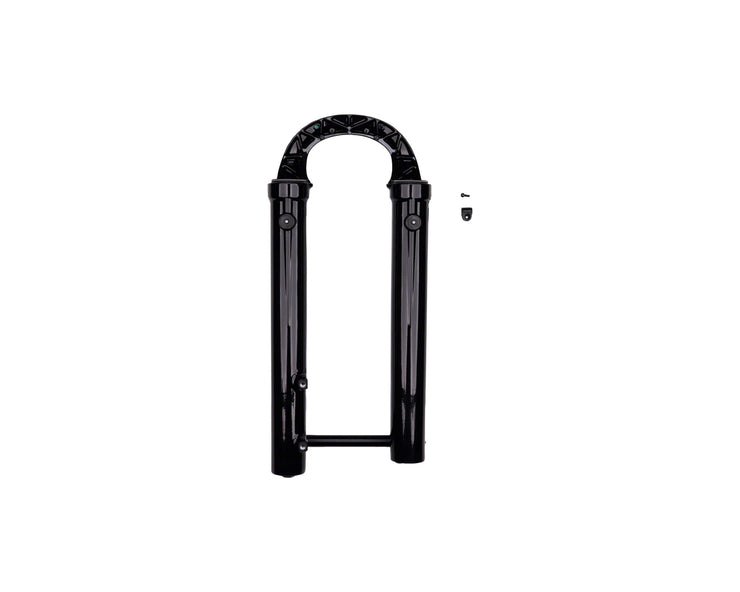 FOX Lower Leg Assembly - 2021 38 29in 180 MAX, 15x110 QR, Fox Shiny Black, F-S