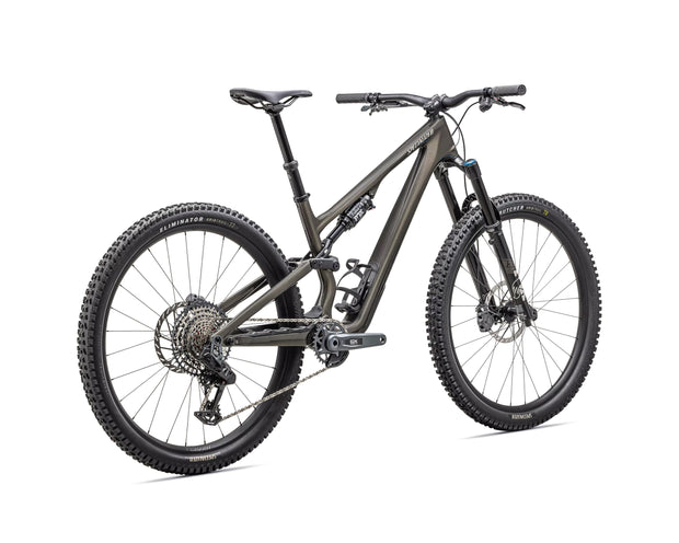 2025 Specialized Stumpjumper 15 Expert