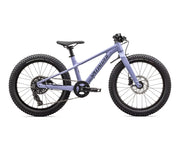 Specialized Riprock 20"