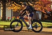 Aventure 3 Step Through Ebike