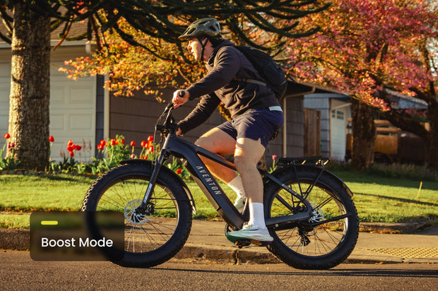 Aventure 3 Step Through Ebike