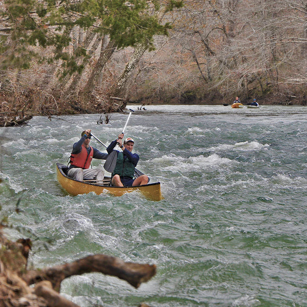 Brewha Bushwhack Competitor Registration 2025