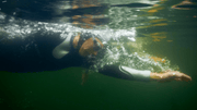 Wetsuit Collection Product Images