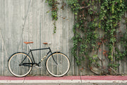 City Bike - The Black & Tan (Single-Speed)