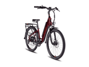 RadCity™ 5 Plus Electric Commuter Bike