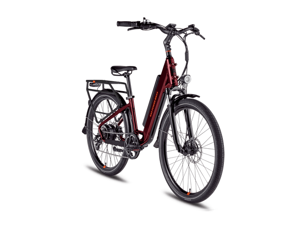 RadCity™ 5 Plus Electric Commuter Bike