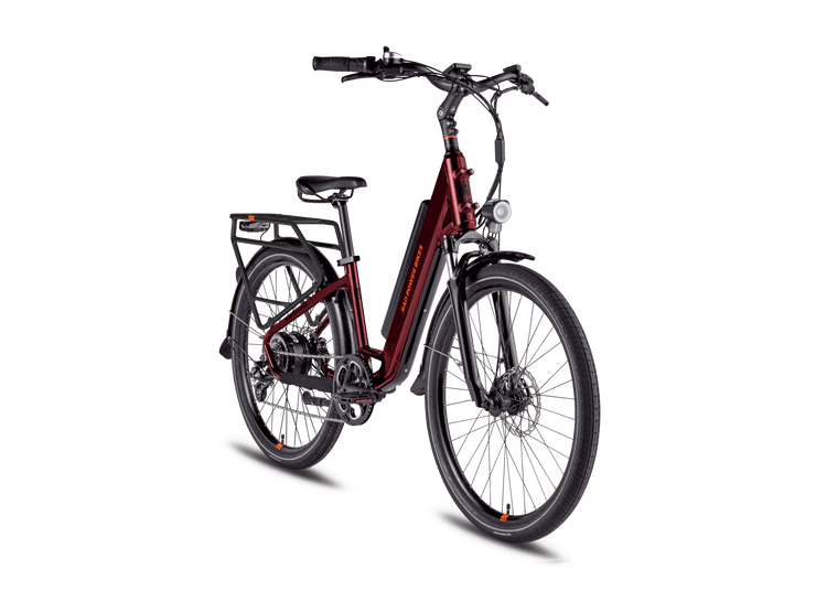RadCity™ 5 Plus Electric Commuter Bike