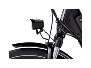 RadCity™ 5 Plus Electric Commuter Bike