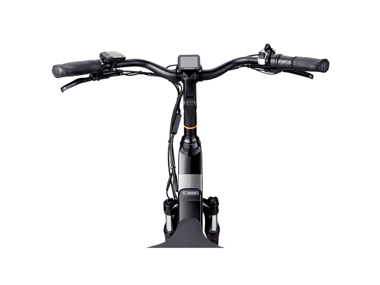 RadCity™ 5 Plus Electric Commuter Bike