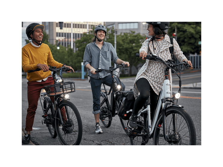 RadCity™ 5 Plus Electric Commuter Bike