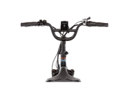 RadExpand™ 5 Plus Electric Folding Bike