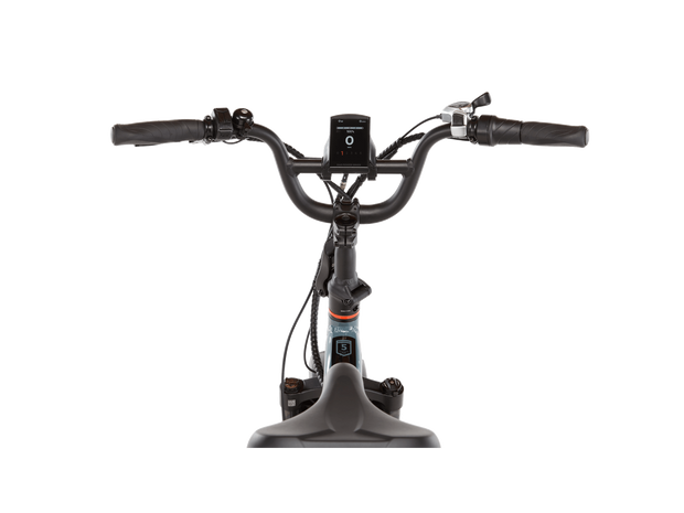 RadExpand™ 5 Plus Electric Folding Bike