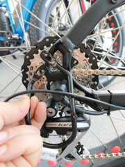 Derailleur Guard