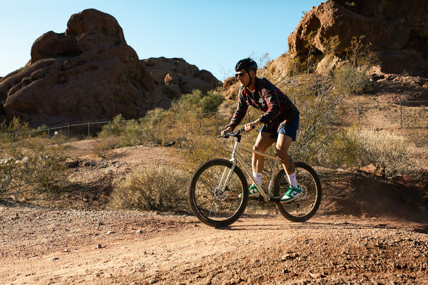 4130 All-Road - Flat Bar - Dromedary Tan (12 Speed / UDH)